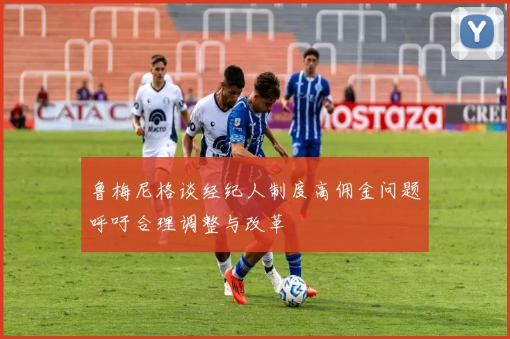 鲁梅尼格谈经纪人制度高佣金问题呼吁合理调整与改革