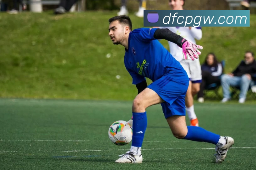 大发彩票官网平台生态图